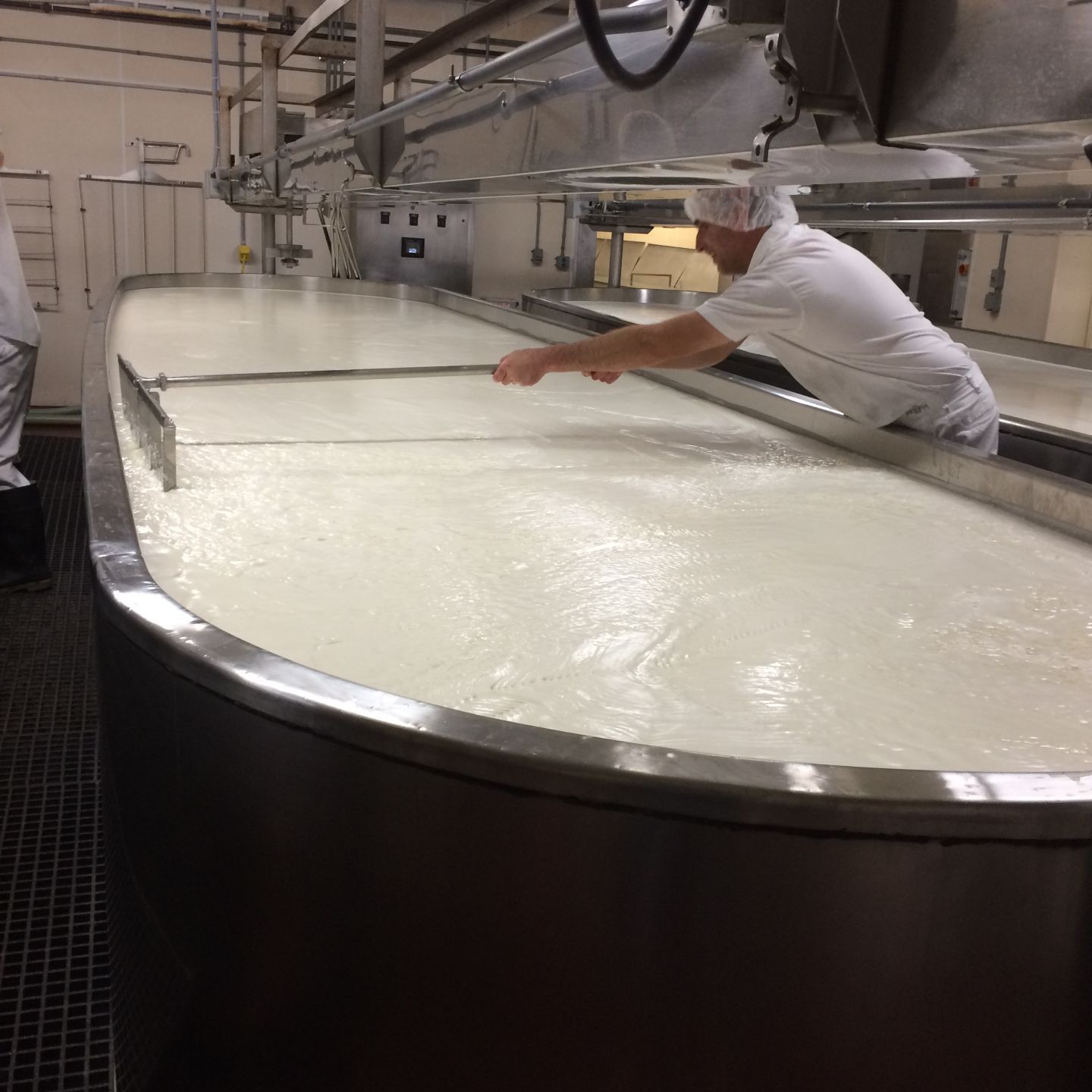 Swiss Heritage Cheese